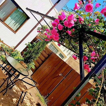 Pensiunea Casa Blanca Sulina Bagian luar foto